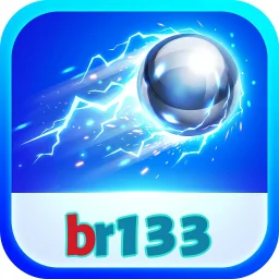 br133