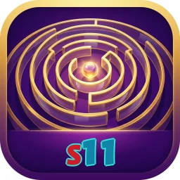 s11